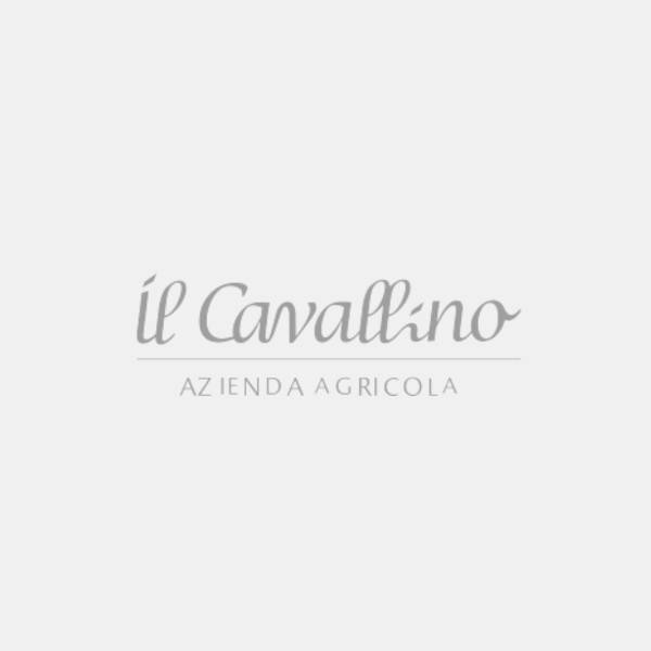 The extra virgin olive oil Il Cavallino of Bibbona among the best in Italy