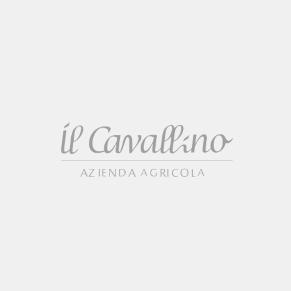 Das native Olivenöl extra Il Cavallino von Bibbona zu den besten in Italien